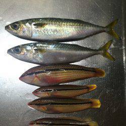 台風の合間の晴れた日に